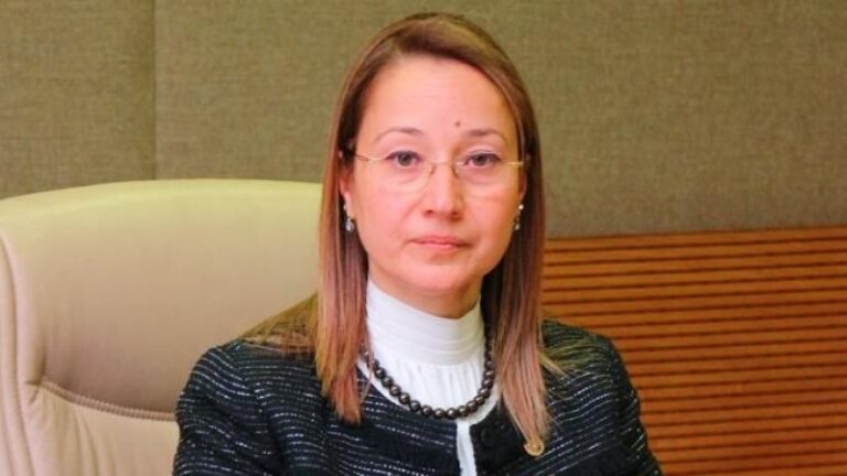 Dr. Derya Bakbak, Deprem Komisyonu’nda