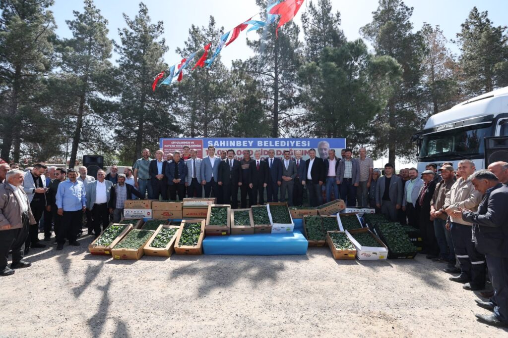 ŞAHİNBEY BELEDİYESİ’NDEN ÇİFTÇİLERE 43 MİLYON’DAN FAZLA FİDE