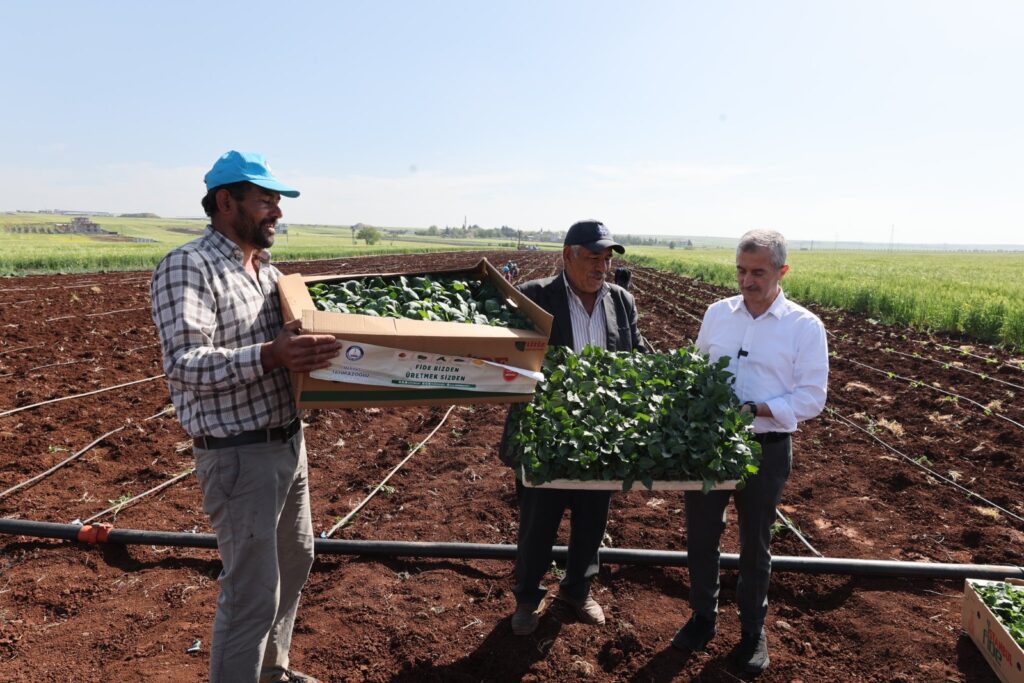 BAŞKAN TAHMAZOĞLU ÇİFTÇİLERLE BİRLİKTE FİDE DİKTİ