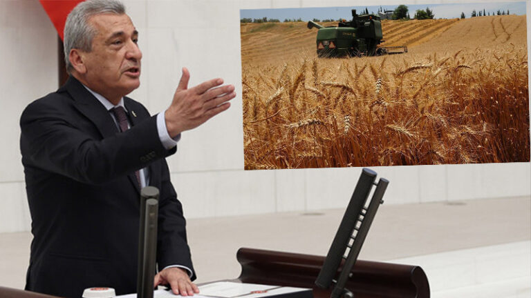CHP’li Öztürkmen’den hükümete: “Buğdayda taban fiyatı açıklayın, randevu çilesini bitirin”