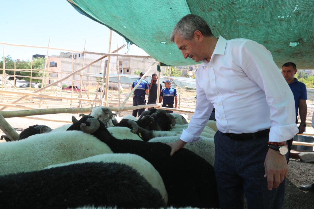 BAŞKAN TAHMAZOĞLU’NDAN KURBAN BAYRAMI’NDA VATANDAŞIN YÜZÜNÜ GÜLDÜRECEK HAMLE