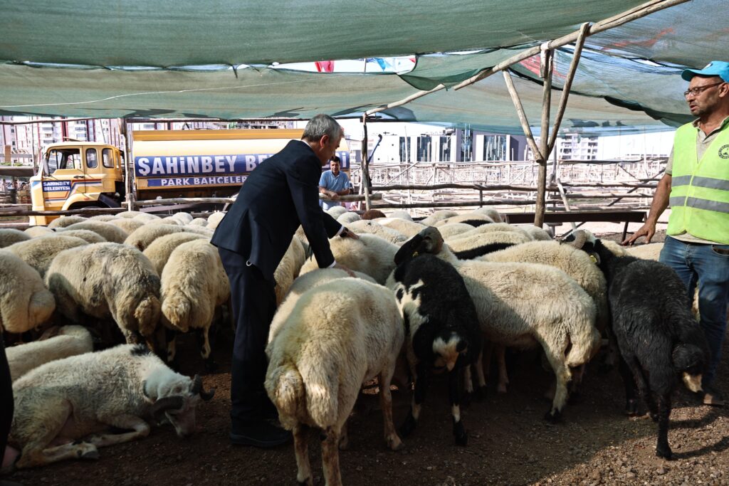 BAŞKAN TAHMAZOĞLU KURBAN FİYATLARINI DÜŞÜRDÜ