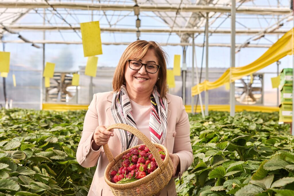ÜRETİLEN ÇİLEKLER 65 YAŞ ÜSTÜ VATANDAŞLARA İKRAM EDİLECEK
