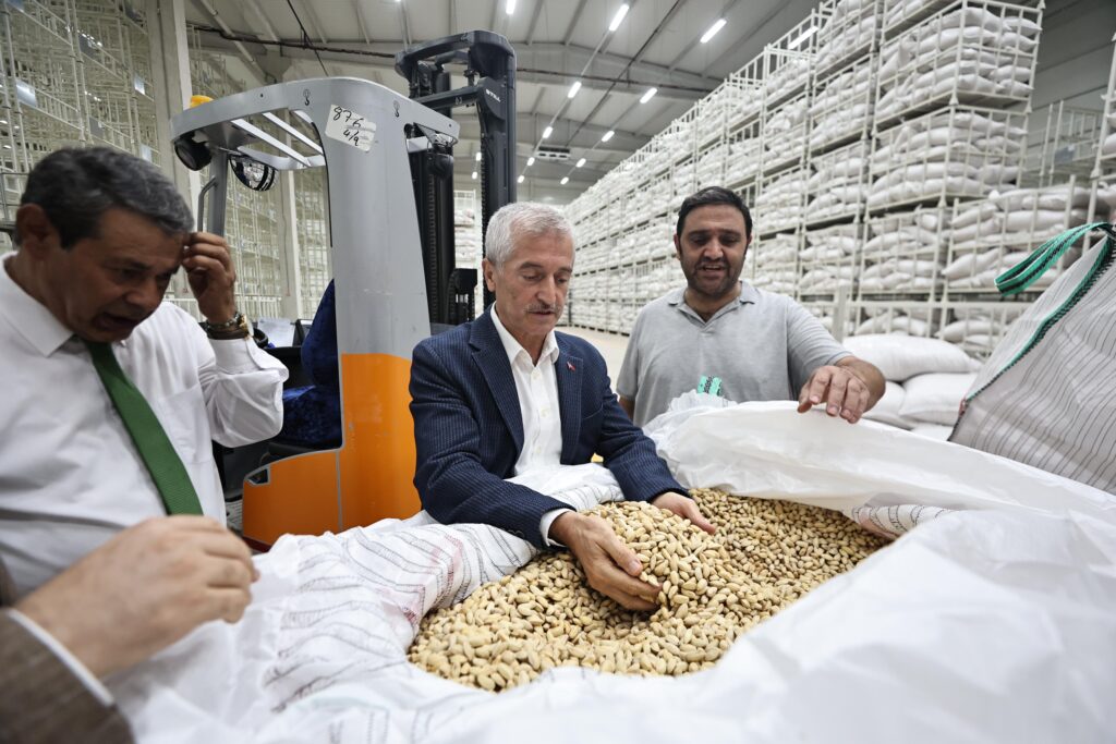 ŞAHİNBEY BELEDİYESİ FISTIK ALIMINA BAŞLADI