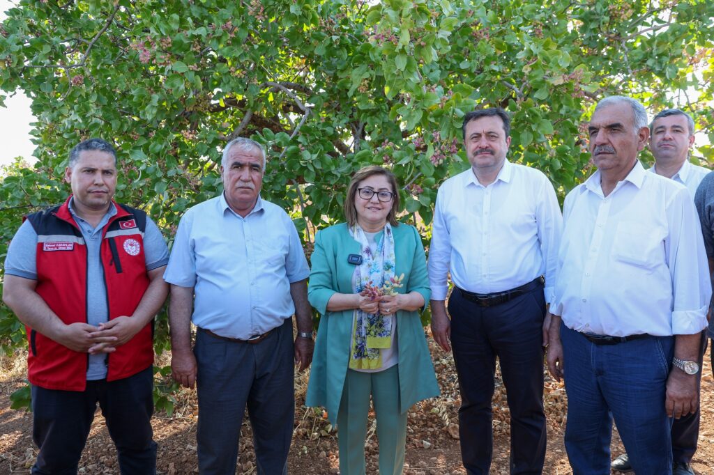 FISTIK ÜRETİCİSİNE ÇİFTE MÜJDE!